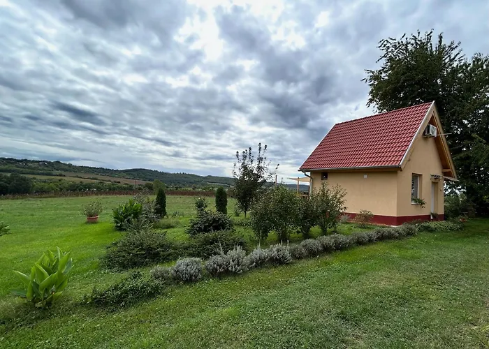 Lejlighed Eiross Apartmanhaz Tamási